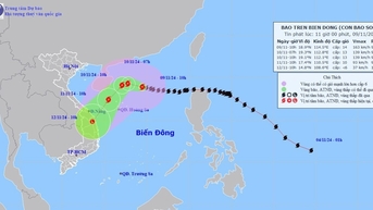 Ngành TT&TT triển khai các giải pháp để chủ động ứng phó bão Yinxing