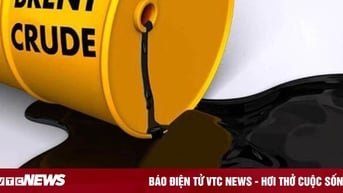 Giá xăng dầu hôm nay 8/11: Tiếp tục đi lên