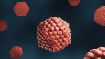 Virus Herpes tấn công não, nguy cơ tử vong tới 70%