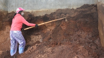 Phân hữu cơ có tác dụng gì, tại sao ngày càng nhiều nông dân Nam Định thích làm phân hữu cơ?