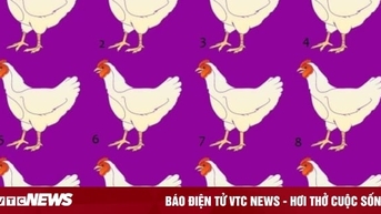 Chỉ 1% người có thể tìm ra con gà khác biệt