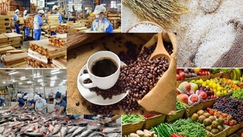 Liên minh châu Âu công bố danh sách cấp chứng nhận hữu cơ cho sản phẩm nhập từ Việt Nam