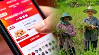Khám phá khả năng của công nghệ 5G trong nông nghiệp chính xác