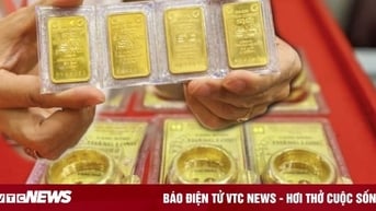 Chuyên gia: Không nên mua bán khi giá vàng biến động khó lường