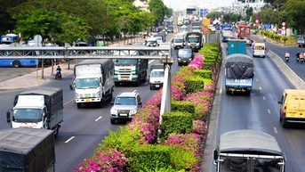 ផ្កា Bougainvillea កំពុង​រីក​យ៉ាង​ត្រចះត្រចង់​ក្នុង​អាកាសធាតុ​ក្តៅ​លើ​ផ្លូវ​ហាយវេ 1A