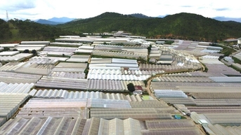 Lâm Đồng khảo sát nhu cầu vay vốn của người dân trong việc di dời nhà kính