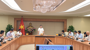 Rà soát tiến độ triển khai Đề án 1 triệu ha lúa chất lượng cao