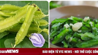 Ăn đậu rồng thường xuyên có tốt?
