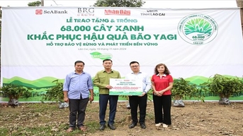 SeABank và Tập đoàn BRG chung tay trồng 68.000 cây phủ xanh gần 20ha rừng tại Lào Cai