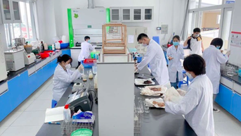 តើសមាមាត្រនៃបណ្ឌិតនៅសាលារៀនប្រៀបធៀបទៅនឹងស្តង់ដារសាកលវិទ្យាល័យយ៉ាងដូចម្តេច?