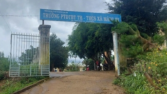 ban giám hiệu trường buông lỏng quản lý