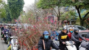 Tăng cường bảo đảm trật tự, an toàn giao thông dịp tết Nguyên đán Ất Tỵ và Lễ hội xuân 2025