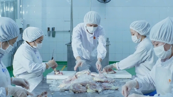Xuất khẩu cháo tươi từ gạo ST25 sang Mỹ