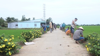 Đường hoa nông thôn mới ở nơi này của Sóc Trăng nở rộ huỳnh anh, hoa mười giờ, cây bông trang