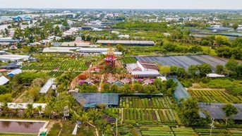 Sa Đéc - Thành phố ngàn hoa phương Nam