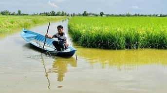 អង្ករសរីរាង្គ និងបង្គាមានអំណោយផលក្នុងការចូលរួមក្នុងគម្រោងស្រូវ១លានហិកតា។