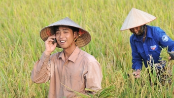 Ngừng cung cấp dịch vụ cho thuê bao 2G Only từ 0h ngày 16/10