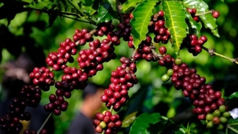 Thị trường bất ngờ có diễn biến khác thường