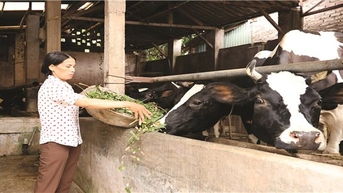 Vĩnh Phúc phát huy hiệu quả vốn tín dụng chính sách
