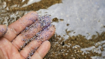 តើមីក្រូផ្លាស្ទិចកកកុញនៅក្នុងខ្លួនមនុស្សនៅឯណា?