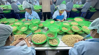 Bất ngờ với mức thu nhập bình quân của người lao động Việt Nam