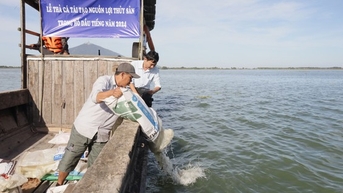 Vừa thả cá ở hồ Dầu Tiếng ở Tây Ninh, hồ nước nhân tạo lớn nhất Việt Nam, lớn nhất Đông Nam Á