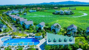 ការរំលោភជាច្រើននៅគម្រោងអចលនទ្រព្យ និងទីក្រុងអេកូឡូស៊ីចំនួន 9 នៅភូថូ