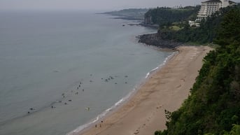 Hàn Quốc bắt 11 người Việt trốn trong xe tải rời đảo Jeju