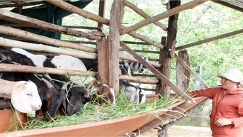 Núi Ngỗng giảm nghèo nhờ các chương trình MTQG