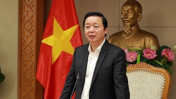Phó thủ tướng: Thí điểm dùng ngân sách khảo sát dự án điện gió ngoài khơi