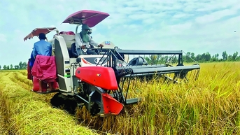 Tín dụng xanh cho tam nông nhiều cơ hội bứt phá
