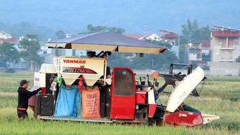 Huyện Điện Biên thắng lợi vụ lúa đông xuân