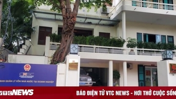 Uỷ ban Quản lý vốn Nhà nước chỉ ra hạn chế trước ngày chấm dứt hoạt động