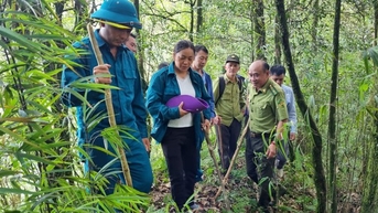 អនុរក្សព្រៃឈើលាលែងពីតំណែងចំនួនបួនដងដើម្បីទៅ "បរបាញ់ព្រៃ" នៅលើខ្ពង់រាបថ្ម