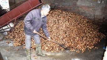 Người góp phần đưa “miến dong Bình Liêu” thành sản phẩm OCOP