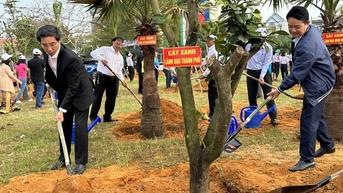 Phủ xanh các khu dân cư mới ở tây bắc Đà Nẵng
