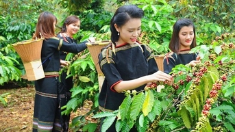 Cơ hội và rào cản với phụ nữ dân tộc thiểu số khi tham gia làm kinh tế