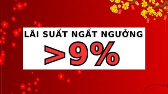 Đầu năm một ngân hàng có lãi suất hơn 9% gửi tiết kiệm 13 tháng