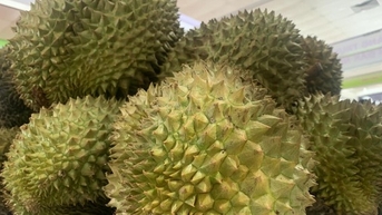 ការ​នាំ​ចេញ​ផ្លែ​ឈើ​ទៅ​ប្រទេស​ចិន​កើន​ឡើង​យ៉ាង​ខ្លាំង​លោក Lang Son គ្រប់គ្រង​ដើម្បី​បញ្ចៀស​ការ​កកស្ទះ​