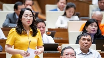 Cả nghìn người chấp nhận “ăn chực nằm chờ” để đấu được suất đất