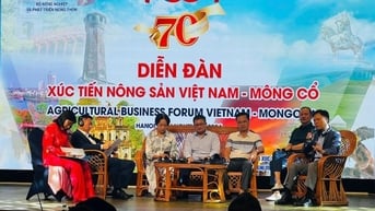 Ký biên bản ghi nhớ hợp tác về phân phối thịt dê, cừu Mông Cổ tại Việt Nam