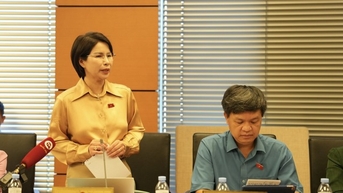 ĐBQH đề nghị có giải pháp căn cơ để giải quyết tình trạng tỷ lệ sinh giảm