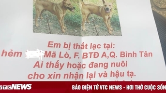 Lên mạng đăng tin tìm vật nuôi, bất ngờ thành 'con mồi' của những kẻ lừa đảo