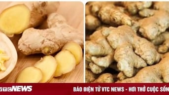 Tác dụng việc ăn gừng cả vỏ