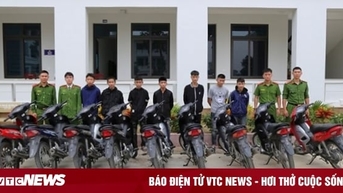 Triệt phá đường dây trộm cắp xe máy liên tỉnh