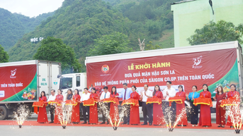 Mận hậu VietGap Sơn La "giá bình ổn" lên kệ siêu thị