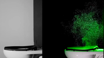 Thói quen đóng nắp bồn cầu trước khi xả nước và sự thật bất ngờ phía sau