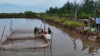 17/17 hộ dân đồng thuận bàn giao mặt bằng khu vực Cồn Xanh