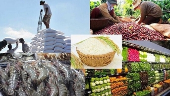 6 tháng đầu năm, xuất khẩu nông lâm thủy sản đạt 29,2 tỷ USD