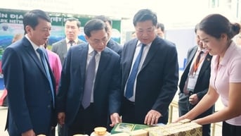 Khai mạc Hội nghị Mạng lưới Công viên Địa chất toàn cầu UNESCO